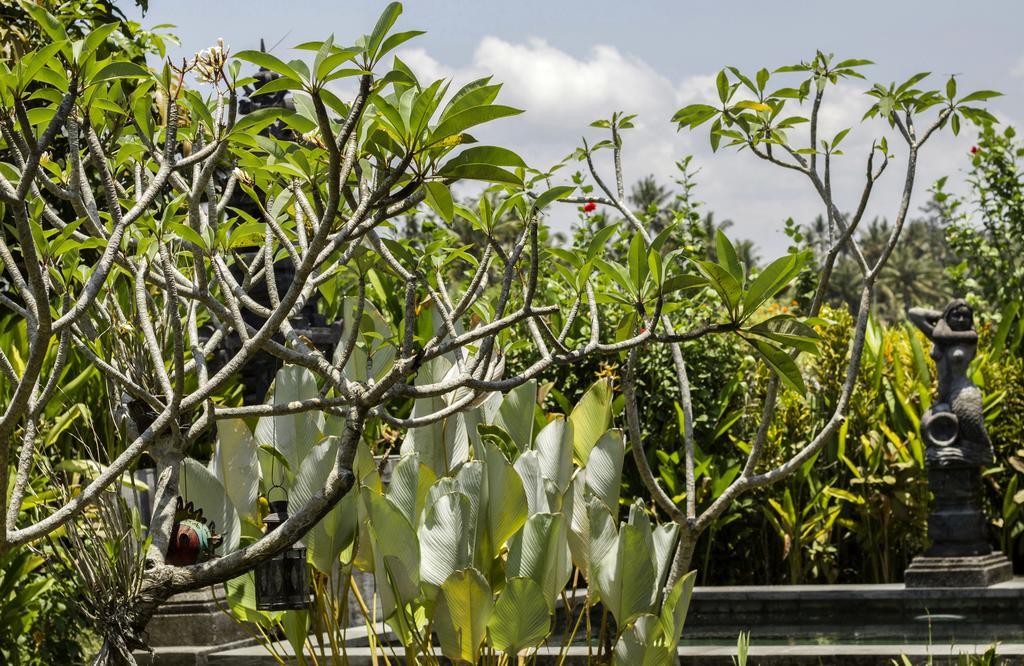 Graha Rusni Villa Ubud Værelse billede
